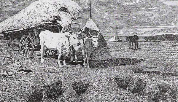 G. Fattori Bovi al carro (Maremma) G. Fattori Bovi al carro (Maremma)